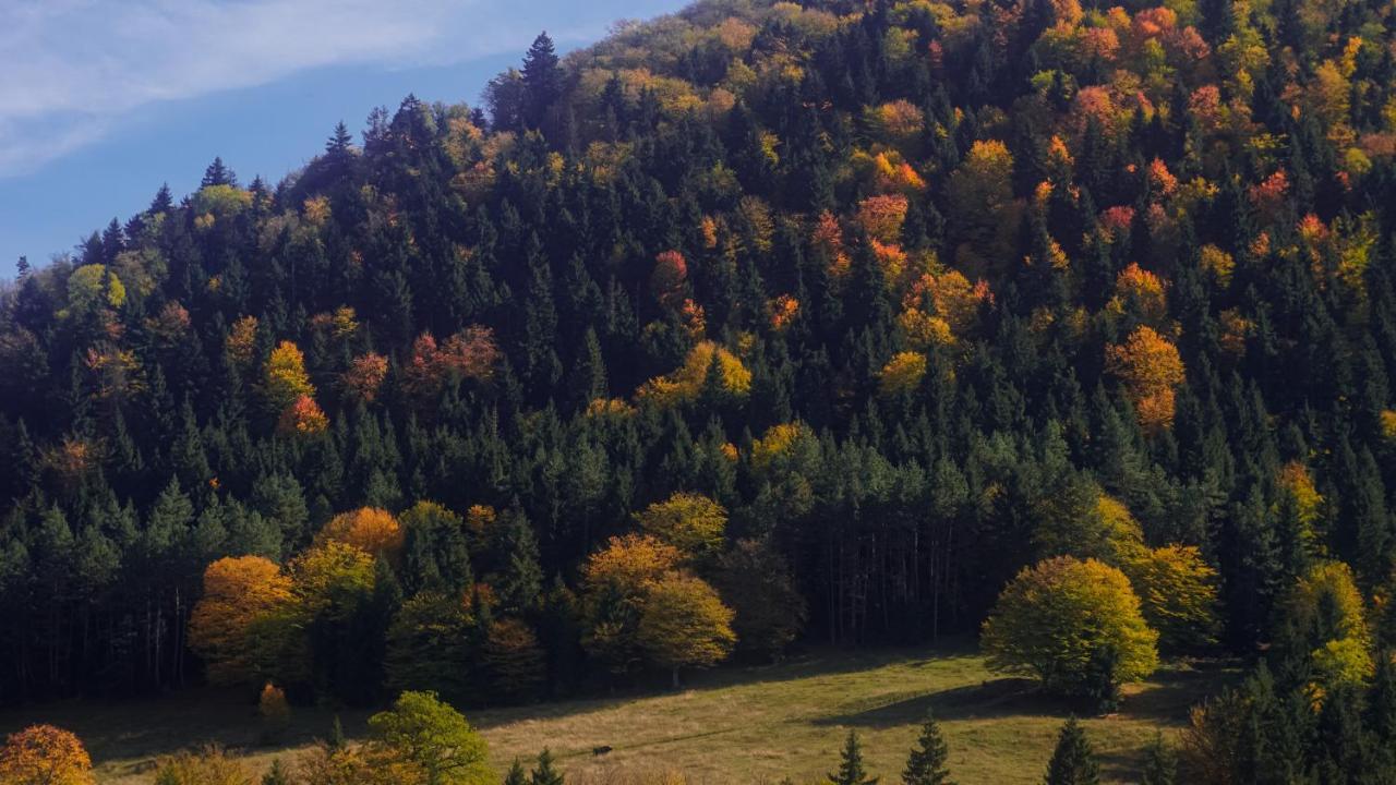 Landhaus Borzsomi Kültér fotó